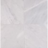 Arabescato Carrara 18X18 Polished Marble Tile